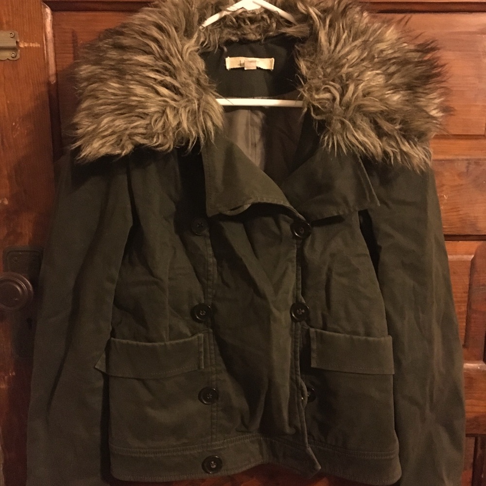 Ann Taylor Loft Jacket